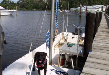 Ok, I'm ready to get off the boat here!